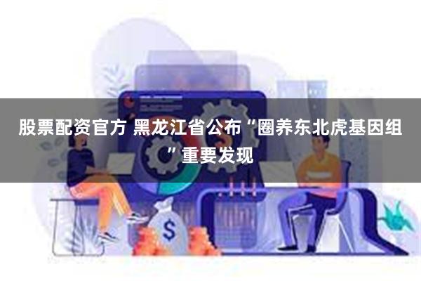 股票配资官方 黑龙江省公布“圈养东北虎基因组”重要发现