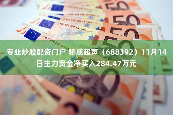 专业炒股配资门户 骄成超声（688392）11月14日主力资金净买入284.47万元