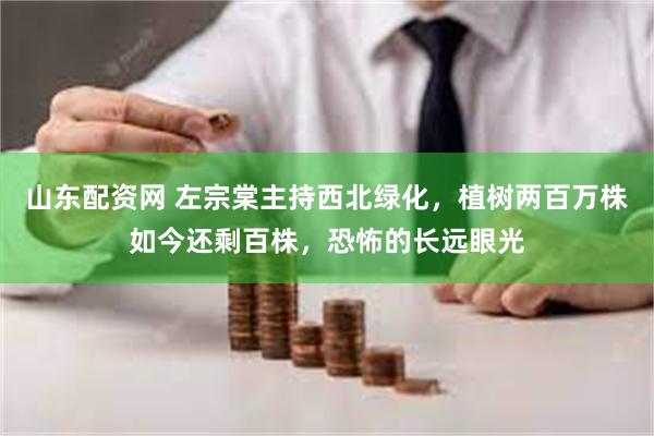 山东配资网 左宗棠主持西北绿化，植树两百万株如今还剩百株，恐怖的长远眼光