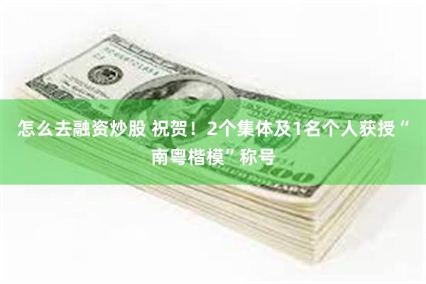 怎么去融资炒股 祝贺！2个集体及1名个人获授“南粤楷模”称号