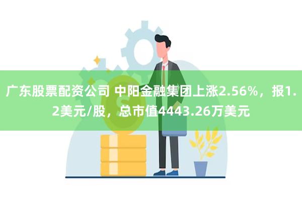 广东股票配资公司 中阳金融集团上涨2.56%，报1.2美元/股，总市值4443.26万美元